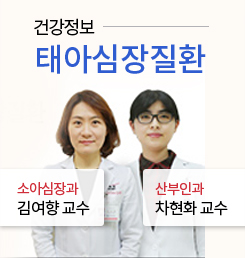 건강정보 태아심장질환 소아심장과 김여향교수 산부인과 차현화교수