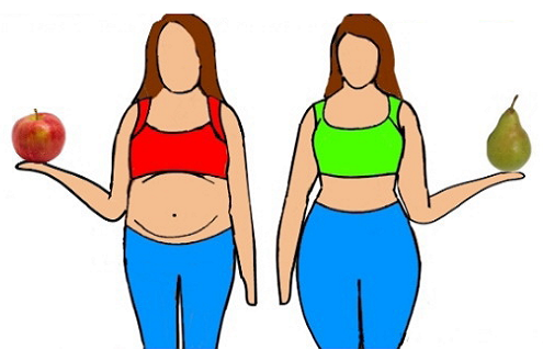 비만의 유형을 사과형 서양배형으로 나누어 설명하는 그림